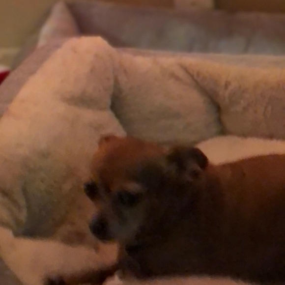rubysandoval528